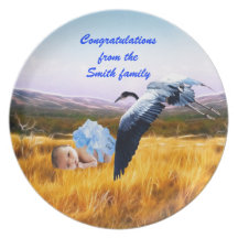 Baby boy congratulations dinner plate