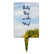 Baby boy on the Way! cake toppers Baby Shower cake