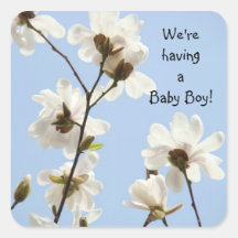 Baby Boy Shower stickers Invitations Announcements