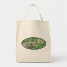 Baby Canadian Geese Nature Animal Photo Tote Bag