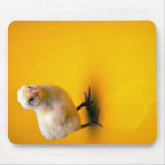 Baby chick on yellow background mouse pad