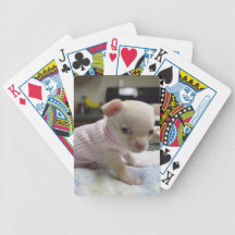 Baby Chihuahua Puppy Pink Sweater Playing Cards