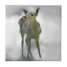 Baby deer's curiosity ceramic tile