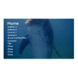 Baby dolphin, La Havana Aquarium, Cuba Business Card Templates