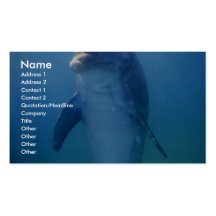 Baby dolphin, La Havana Aquarium, Cuba Business Card Templates