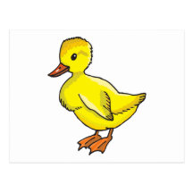 Baby duck cartoon postcard