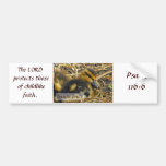 Baby Duck - Innocence Bumper Sticker