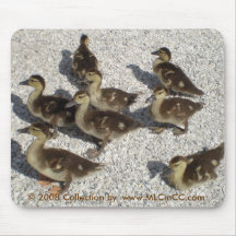 Baby Ducks Mousepad