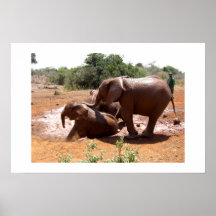 BABY ELEPHANTS WASHING IN KENYA PRINT