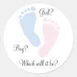 Baby Feet Footprint Gender Reveal Stickers