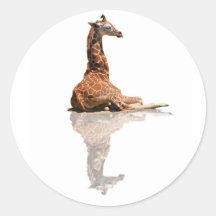 BABY GIRAFFE ROUND STICKERS