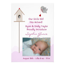 Baby Girl Birdsnest Photo Birth Announcements