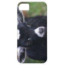 Baby Goat iPhone 5 Cases