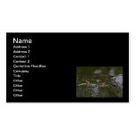 Baby Goes for a Swim Business Cards