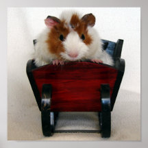 Baby Guinea Pig in Sleigh Print
