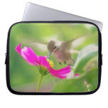 Baby Hummingbird Laptop Sleeve