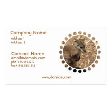 Baby Kangaroo Business Card