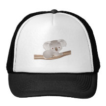 Baby Koala Hats