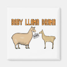 Baby Llama Drama Refrigerator Magnet