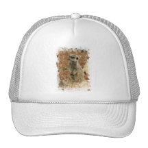 Baby Meerkat Baseball Hat