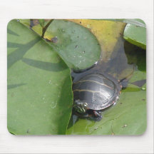 Baby Painted Turtle on Lilypad Items Mousepads