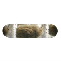 Baby Penguin Skateboard