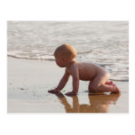 Baby playing in the sand on the beach postcards