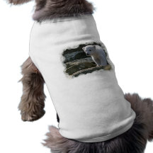 Baby Polar Bear Dog Shirt