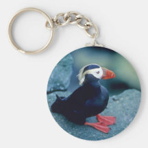 Baby Puffin Key Chains