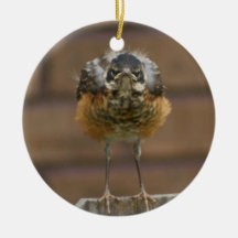 Baby Robin Ornaments
