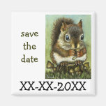 Baby squirrel magnets