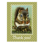 Baby squirrel postcard
