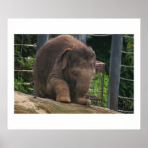 Baby Steps Poster