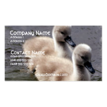 Baby Swans Business Card