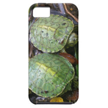 Baby Turtles iPhone 5 case