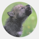 Baby Wolf Howls Round Sticker