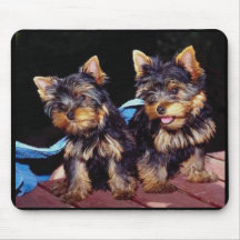 Baby Yorkies Mousepad