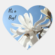 Baby's Birth stickers It's a Boy! Blue Sky Floral
