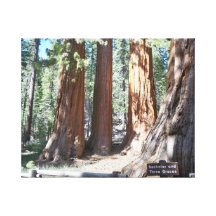 Bachelor and Three Graces at Yosemite Wrapped Canv Stretched Canvas Print