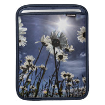 Back side of daisies iPad sleeves