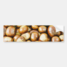 Background From Conkers Bumper Stickers