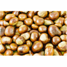 Background From Conkers Cut Out