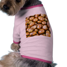 Background From Conkers Pet Clothes