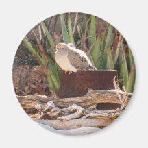 Backyard Birds Fridge Magnet