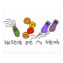 Bacteria are my friends postcard