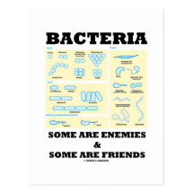 Bacteria Some Are Enemies & Some Are Friends Post Cards