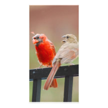 Bad Hair Day Photo Greeting Card
