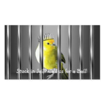 Bail Bonds Business Card