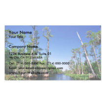Bald Cypress swamp Business Cards
