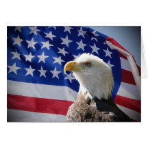 Bald Eagle and American Flag Greeting Cards